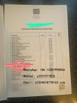 SQA fake diploma certificate sample