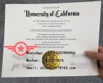 UC Business Economics Fake Degree Sample