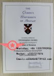QUB Software Development Fake Diploma Sample
