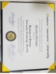 WGU Bachelor of Science in Information Technology fake degree sample
