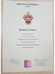 London Metropolitan University Bachelor of Education and Engineering fake certificate sample