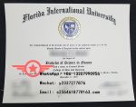 FIU Bachelor of Finance fake degree sample