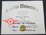 Pella University Bachelor of Business Administration fake degree sample