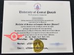 UCP Bachelor of Computer Science fake degree sample