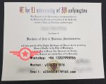 Washington University Business Administration Literature Fake Certificate Sample