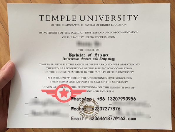 TU Bachelor of Science in Information Science and Technology fake degree sample