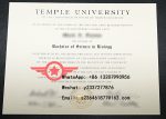 TU Computer Science Bachelor of Arts fake degree sample