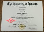 UH Bachelor of Science fake degree certificate sample