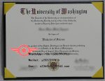 Washington University Business Administration Literature Fake Certificate Sample
