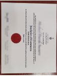 University of Toronto Bachelor of Arts fake diploma sample (2017-2019)
