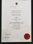University of Limerick BSc fake diploma sample 2006 version