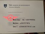 Yale University Bachelor of Engineering fake diploma sample