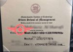 MIT Electrical Science and Engineering fake degree sample