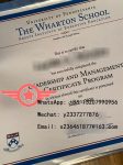 University of Pennsylvania fake certificate sample