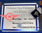DSU fake degree sample