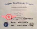 CSUF Bachelor of Arts fake degree sample