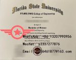 FSU BSc fake certificate sample