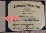 UConn BSc fake certificate sample