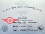 CPP Bachelor of Architecture fake diploma sample