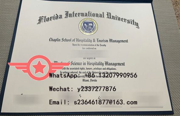 UF Bachelor of Economics fake degree sample