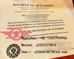 Institute of Actuaries fake certificate sample