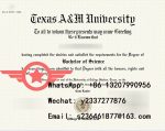TAMU Bachelor of Science fake diploma sample