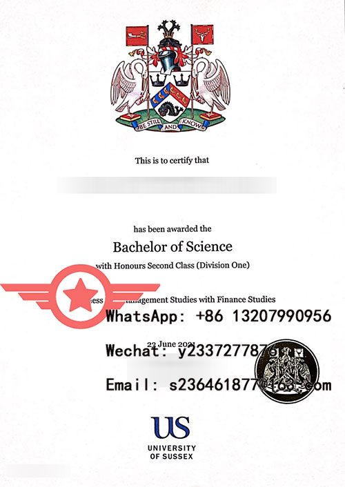 University of Sussex BSc fake diploma sample