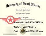 USF Business Foundation Fake Certificate Sample