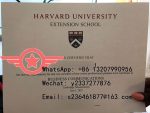 Harvard MD fake degree sample