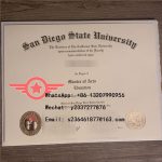 SDSU Bioengineering fake certificate sample
