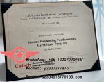 CIT MSc fake degree sample