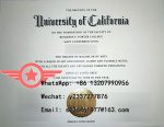 UCSC fake certificate sample