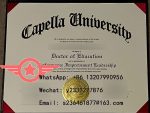 Capella University Business Administration fake degree sample