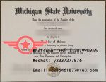 MSU BA fake certificate sample