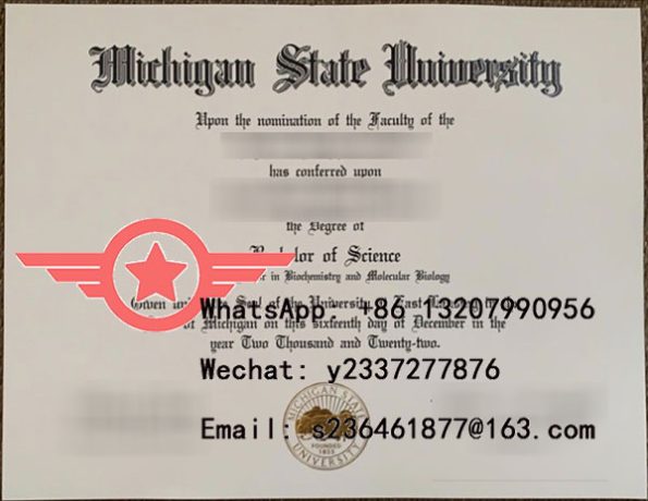 MSU BA fake certificate sample