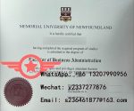 MUN Electrical Engineering fake diploma sample