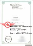 AUC Computer Engineering Atlas of Science fake certificate sample