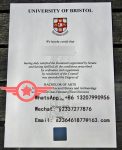 University of Bristol Literature fake degree sample