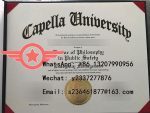 Capella University Business Administration fake degree sample