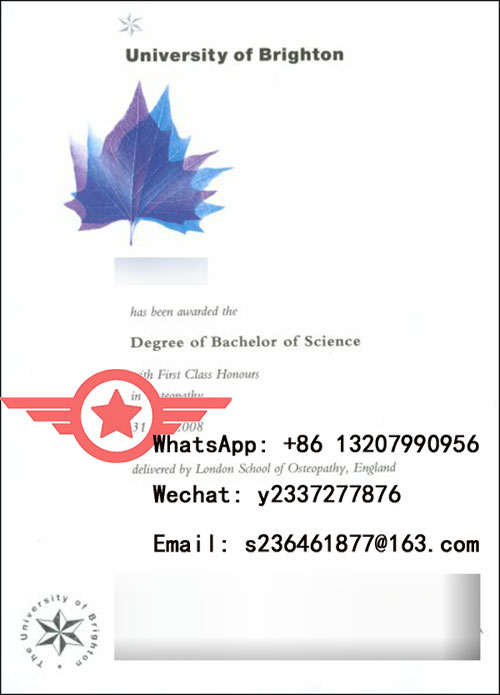 University of Brighton science degree fake certificate sample