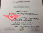 UIowa Bachelor of Fine Arts fake degree sample