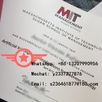 MIT Electrical Science and Engineering fake degree sample