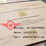 UNU fake degree sample