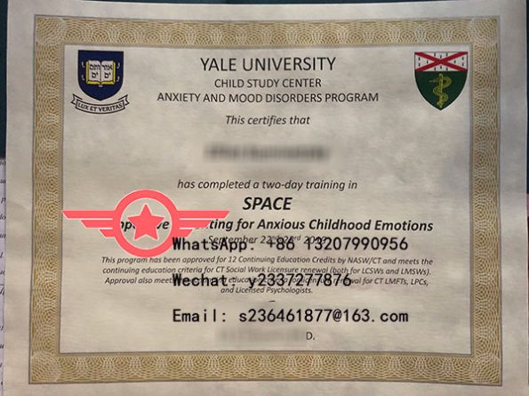 Yale University Bachelor of Engineering fake diploma sample