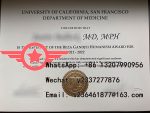 UCSF School of Medicine Fake Certificate Sample