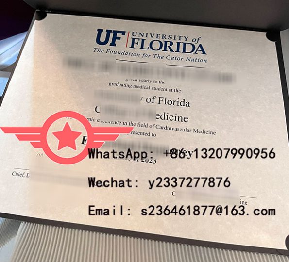 UF Bachelor of Economics fake degree sample