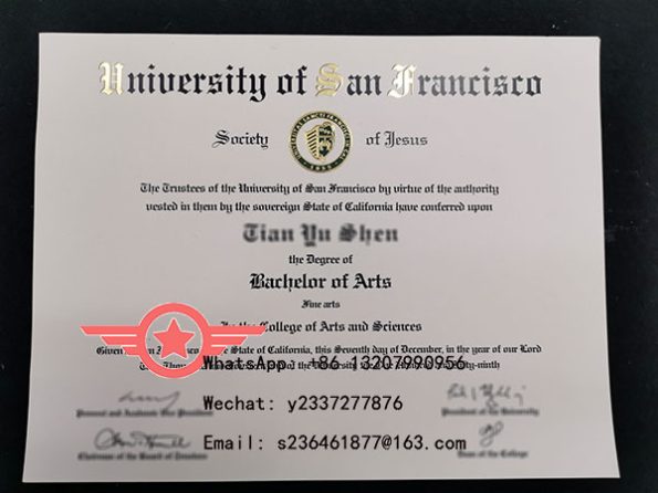 USF Bachelor of Science fake degree sample