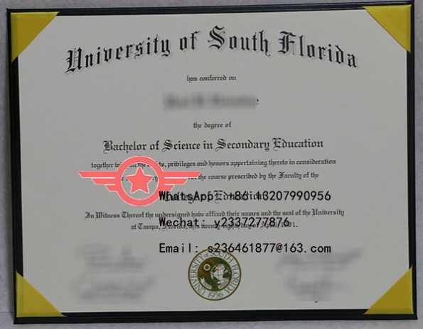 USF Business Foundation Fake Certificate Sample