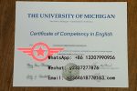 UM Bachelor of Science fake degree sample