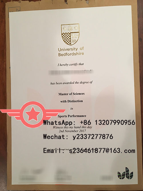 University of Bedfordshire MSc fake certificate sample